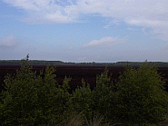 ausflug ins himmelmoor 19. mai 20074